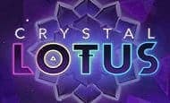 Crystal Lotus UK slot