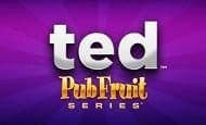 Ted Pub Fruits Series UK slot