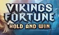 Vikings Fortune: Hold and Win UK slot