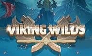 Viking Wilds UK slot