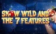 Snow Wild and the 7 features UK slot