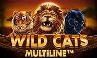 Wild Cats Multiline UK slot