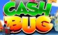 Cash Bug UK Slots