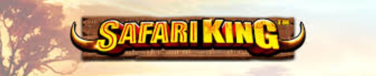 Top 5 African Themed UK Slots