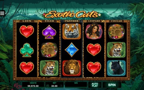 Exotic Cats UK slot game