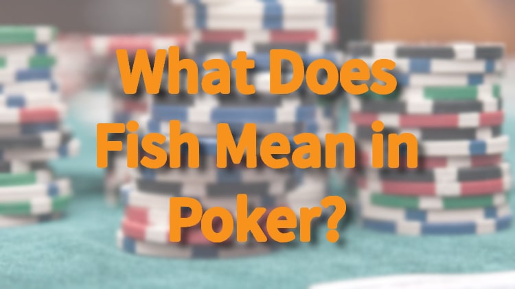 What Does Fish Mean in Poker?